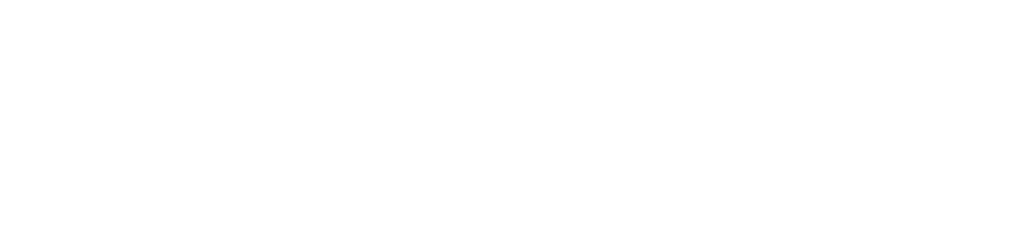 Digishock